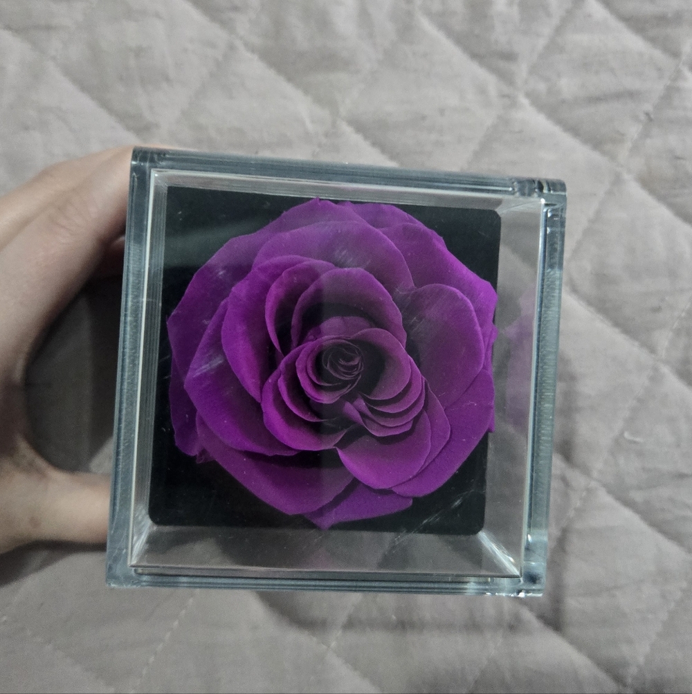 Butterfly Neclace In Purple Rose Display Box - Picture 2 of 7